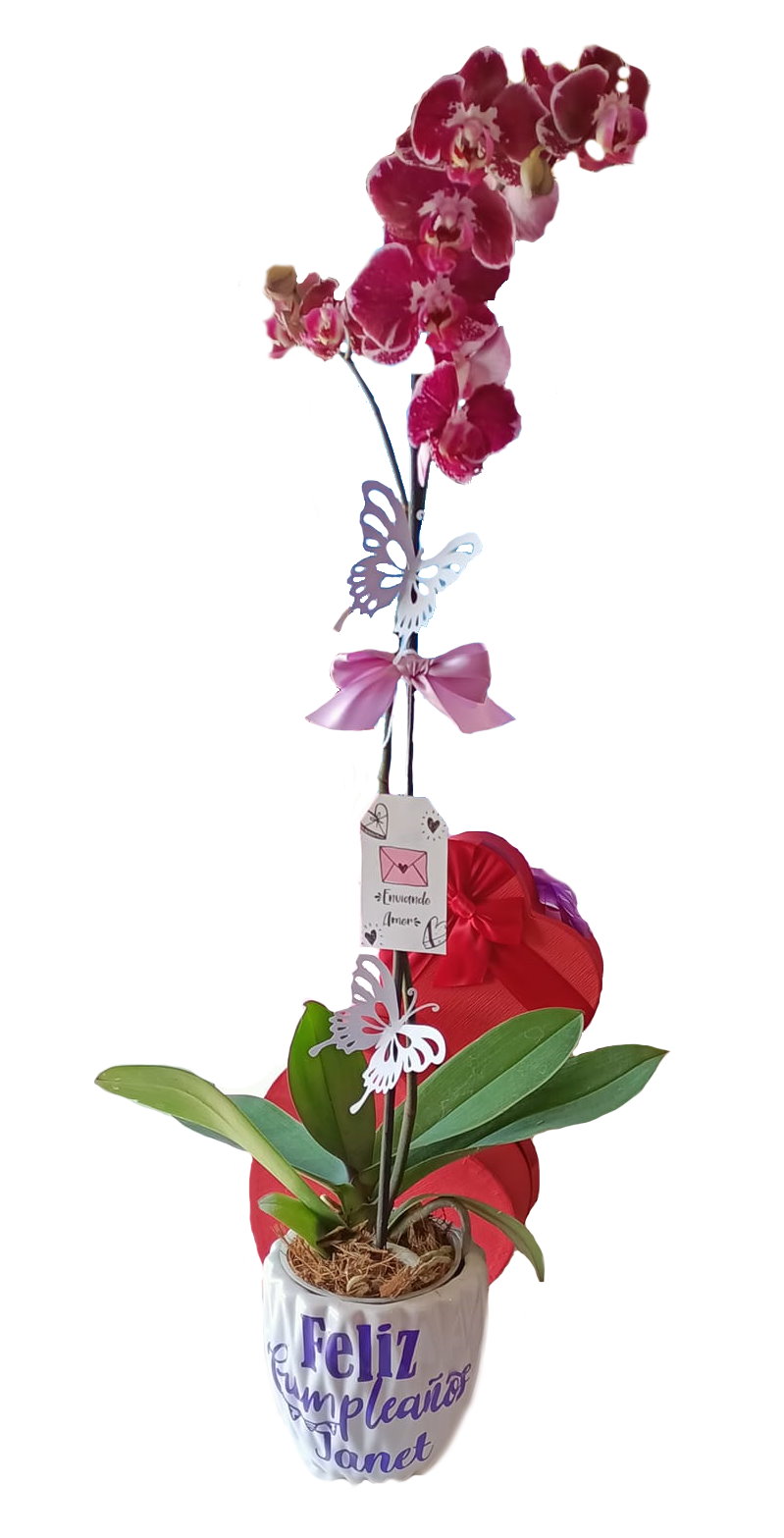 arreglo floral para regalos